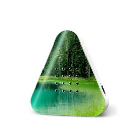 Lakesidebox Speldosa Sjömiljö Forest Lake