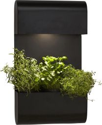 Planta vägglampa svart 70cm