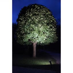Utomhus Spotlight Armatur IP44 för träd och växter Star Trading