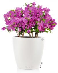Lechuza Självvattnade Kruka Classico color 28 vit