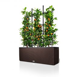 Lechuza Självvattnande Blomlåda Trio Cottage 30 mocka L100cm