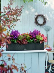 Lechuza Självvattnande Blomlåda Balconera Cottage 80 granit