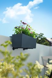 Balconera blomlåda 50cm med vattenmagasin