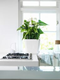 Självvattnande Kruka Quadro 35cm vit