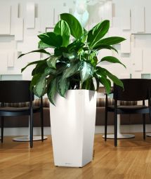 Självvattnande Kruka Cubico 40 vit högglans H75cm