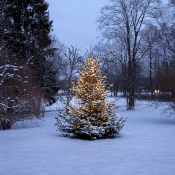 Julgransslinga Serie LED Shiny Warm White