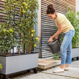 Självvattnande Blomlåda Trio Stone 30 stengrå L100cm