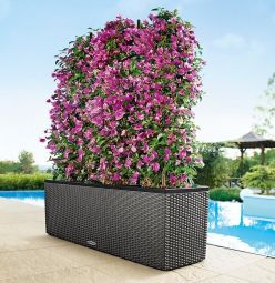 Lechuza Självvattnande Blomlåda Trio Cottage 40 granit L130cm