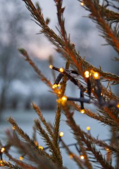 Ljusslinga Serie LED Golden Warm White 24m