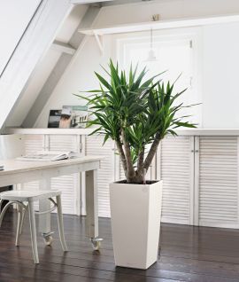 Cubico Color 30 vit kruka med vattenmagasin