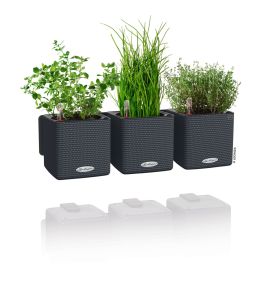 Självvattnande Örtkruka Green Wall Home Kit 3-set skiffergrå