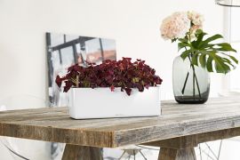 Självvattnande Balkonglåda Cube Glossy Triple 40cm vit