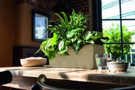 Lechuza Självvattnande Blomlåda Balconera Stone 50 sandbeige