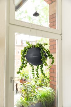 Självvattnande Hängampel Bola Color skiffergrå 23cm