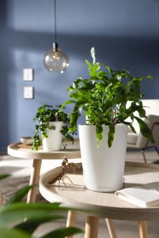 Självvattnande Inomhuskruka Deltini vit matt H20cm