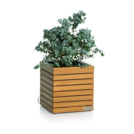 Självvattnande Blomlåda Palo eucalyptus Low 35cm natur