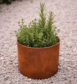 Toppring Tårtan rostbrun 20cm