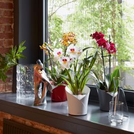 Självvattnande Orkidékruka Orchidea vit 20cm