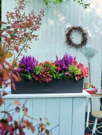 Självvattnande Blomlåda Balconera Color 80cm skiffergrå