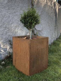 Kruka Flexigarden Cortenstål rost 45x45 h55cm