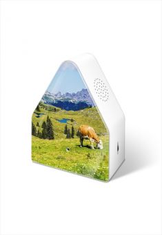 Heidibox Speldosa Alperna Alpine Meadow