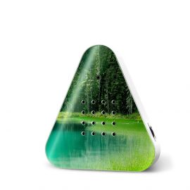 Lakesidebox Speldosa Sjömiljö Forest Lake