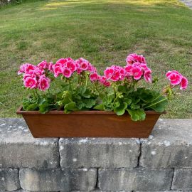 Blomlåda rost 57cm