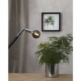 LED Lampa G80 Soft Glow smoke E14 Dimbar