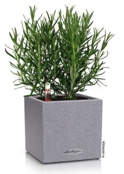 Lechuza Självvattnande Kruka Canto Color Stone 14cm stengrå