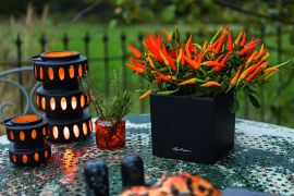 Självvattnande Kruka Canto Color Stone 14 grafitsvart Lechuza