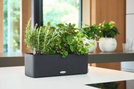 Självvattnande Balkonglåda Cube Color Triple 40cm skiffergrå