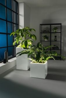 Självvattnande kruka Canto Premium LED Low vit högglans 40cm