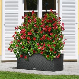 Trio självvattnande blomlåda granit 100cm