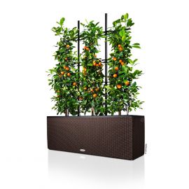 Lechuza Självvattnande Blomlåda Trio Cottage 30 mocka L100cm