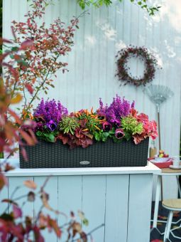 Lechuza Självvattnande Blomlåda Balconera Cottage 80 granit