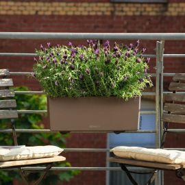 Lechuza Självvattnande Blomlåda Balconera Color 50 nötbrun