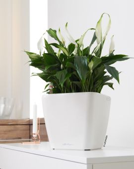 Självvattnande Kruka Quadro 28cm vit