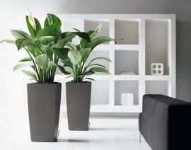 Självvattnande Kruka Cubico 50 charcoal metallic H95cm