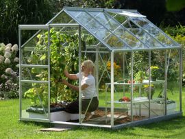 Växthus Vitavia Venus alu/glas 1,9x2,6m / 5m²