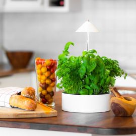 Sunlite MiniHerb Örtodling 10W 23cm vit