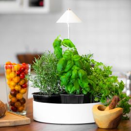 Sunlite MiniHerb Örtodling 10W 31cm vit