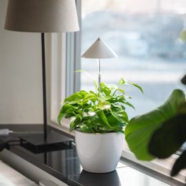 Sunlite Växtlampa 7W justerbar 30-100cm vit
