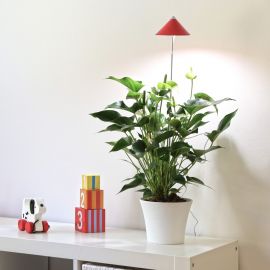 Sunlite Växtlampa 7W justerbar 30-100cm röd