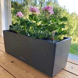 Lechuza Självvattnande Blomlåda Balconera Color 50 skiffergrå
