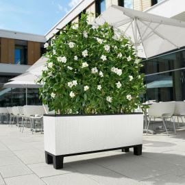 Lechuza Självvattnande Blomlåda Trio Cottage 40 vit L130cm