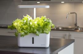 Hydroponisk odling Urban Growing P8