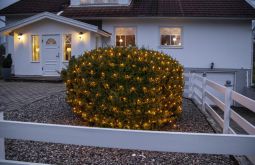 Ljusnät Serie LED Golden Warm White 2x2m