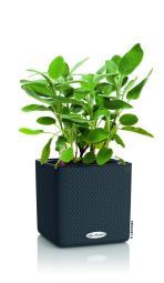 Självvattnande Kruka Cube Color 14 skiffergrå Lechuza