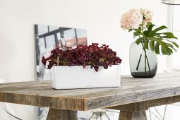 Självvattnande Balkonglåda Cube Glossy Triple 40cm vit