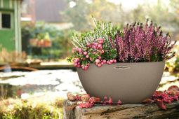 Självvattnande Kruka Cubeto Color 40cm sandbeige